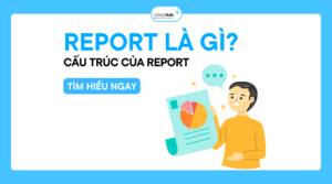 Report là gì