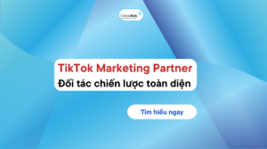 TikTok marketing partner
