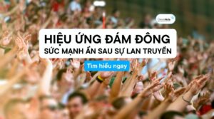 hiệu ứng đám đông